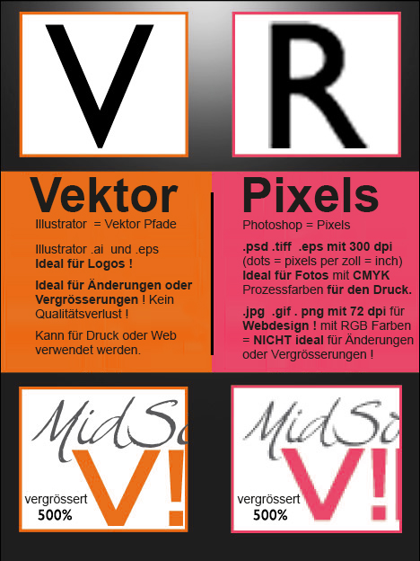 vectorvsraster_D